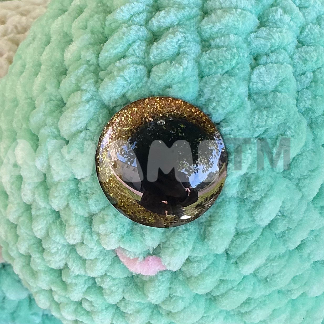 Tortue de mer