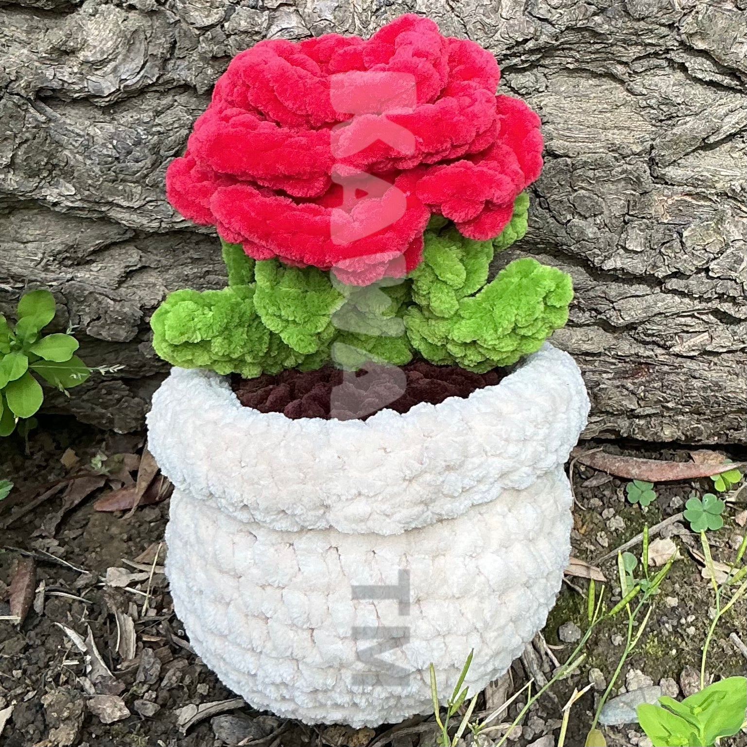 Pots de fleur
