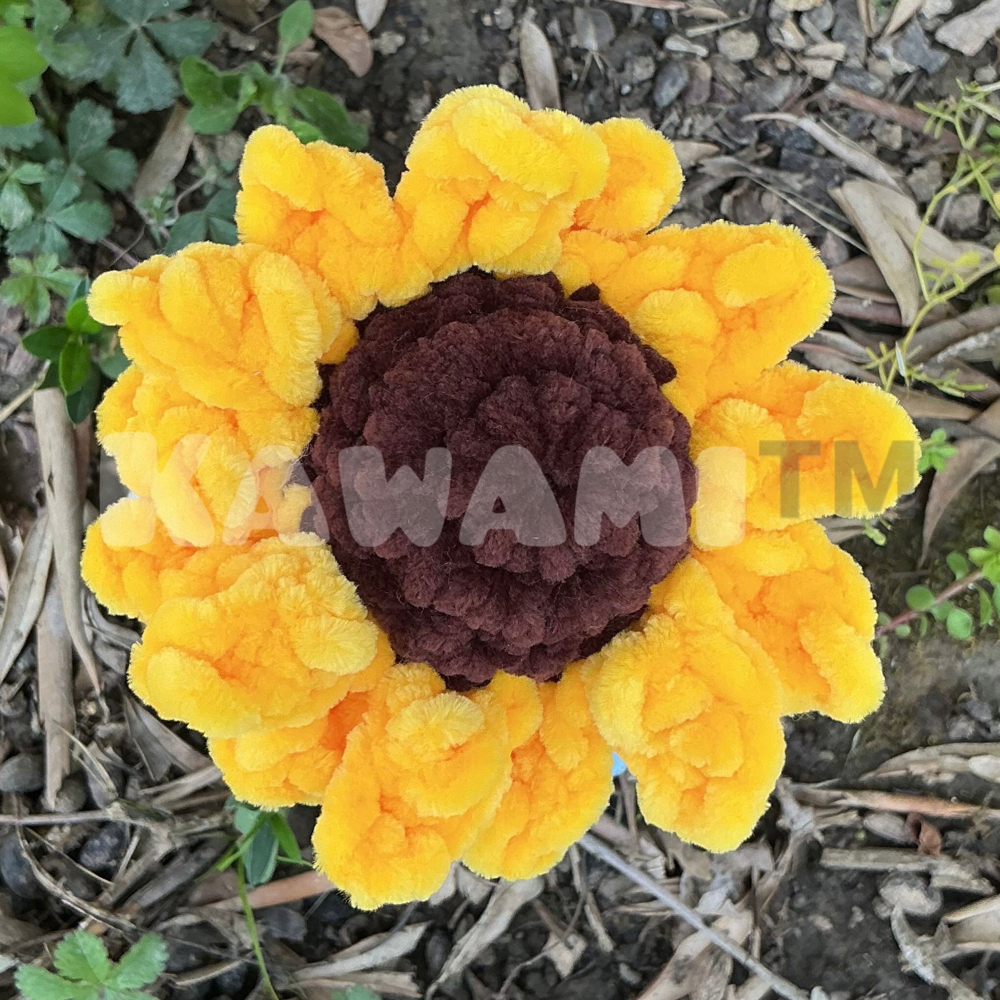 Pots de fleur