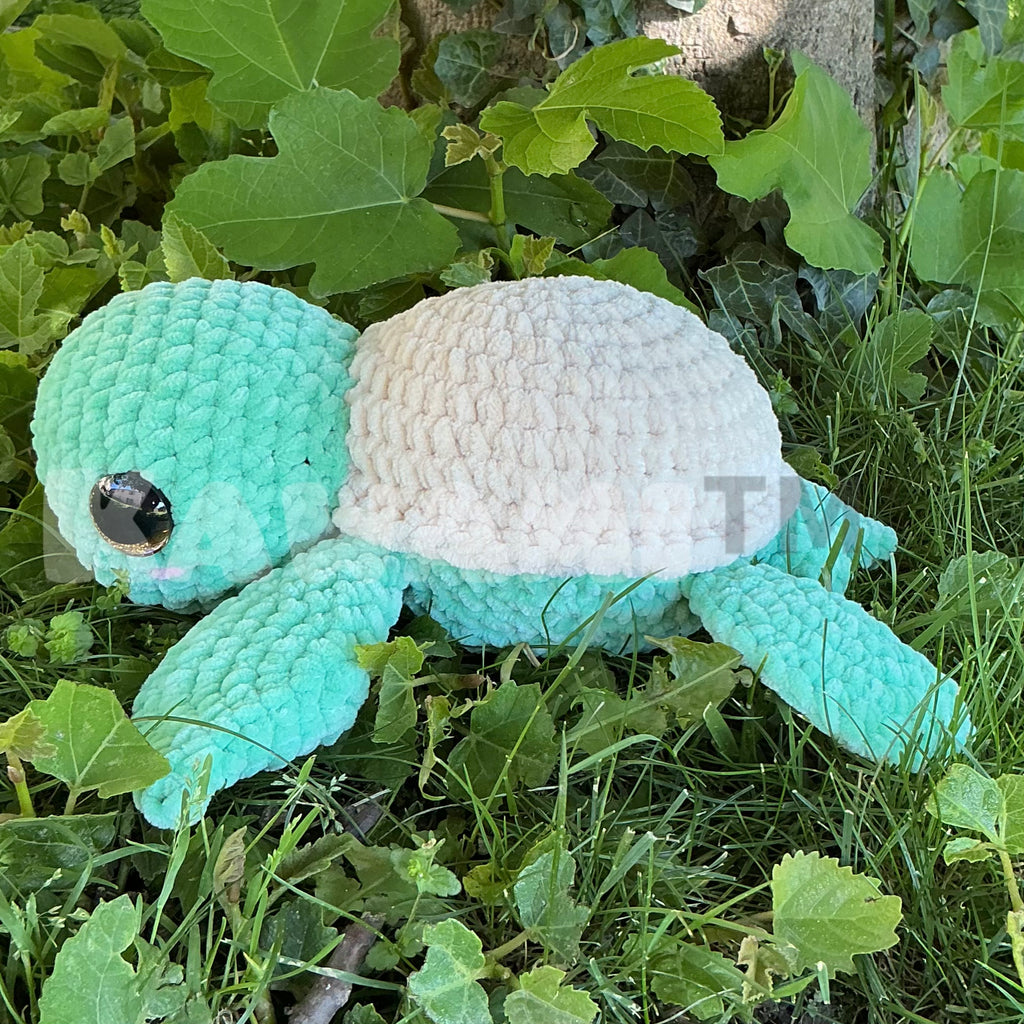 Tortue de mer