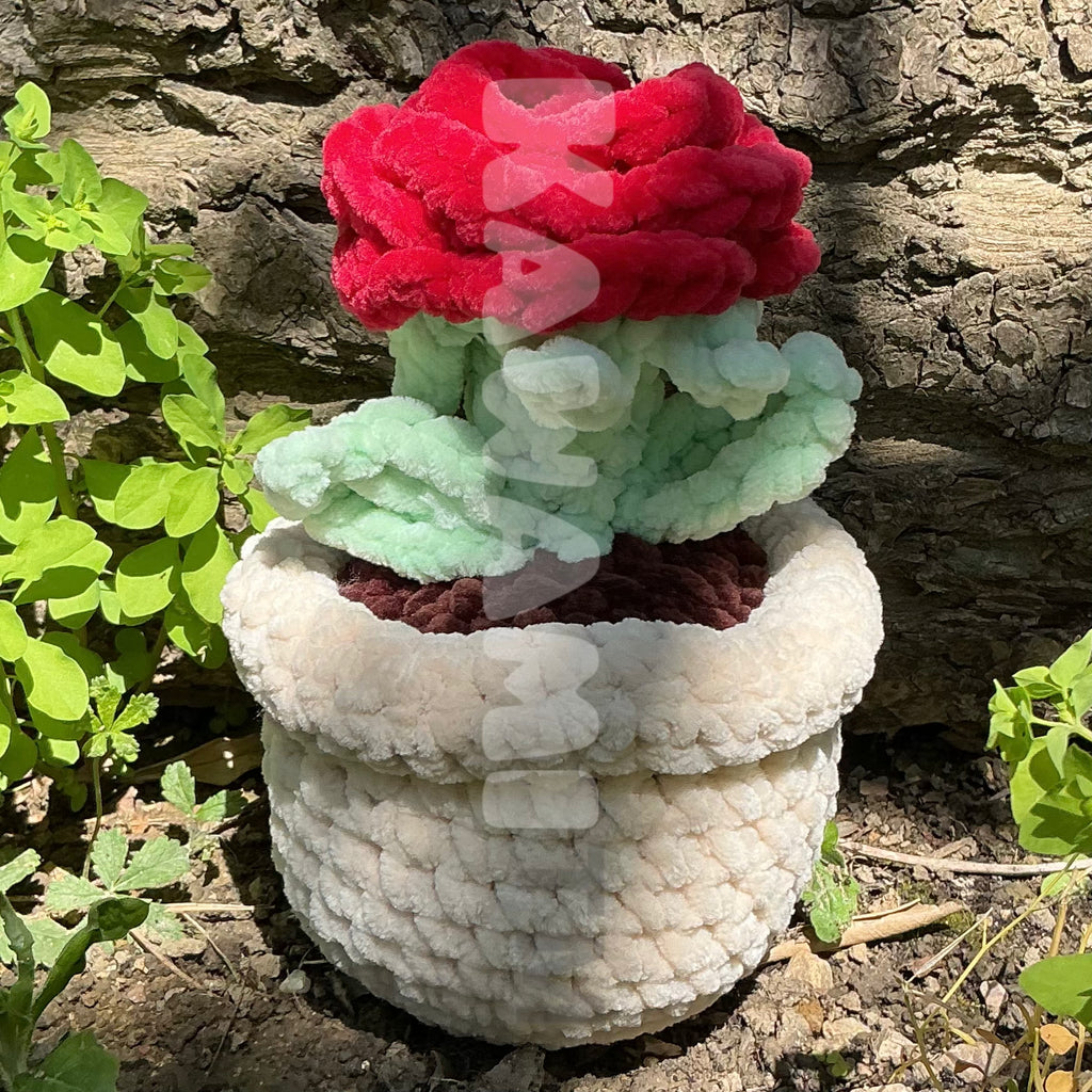 Pots de fleur