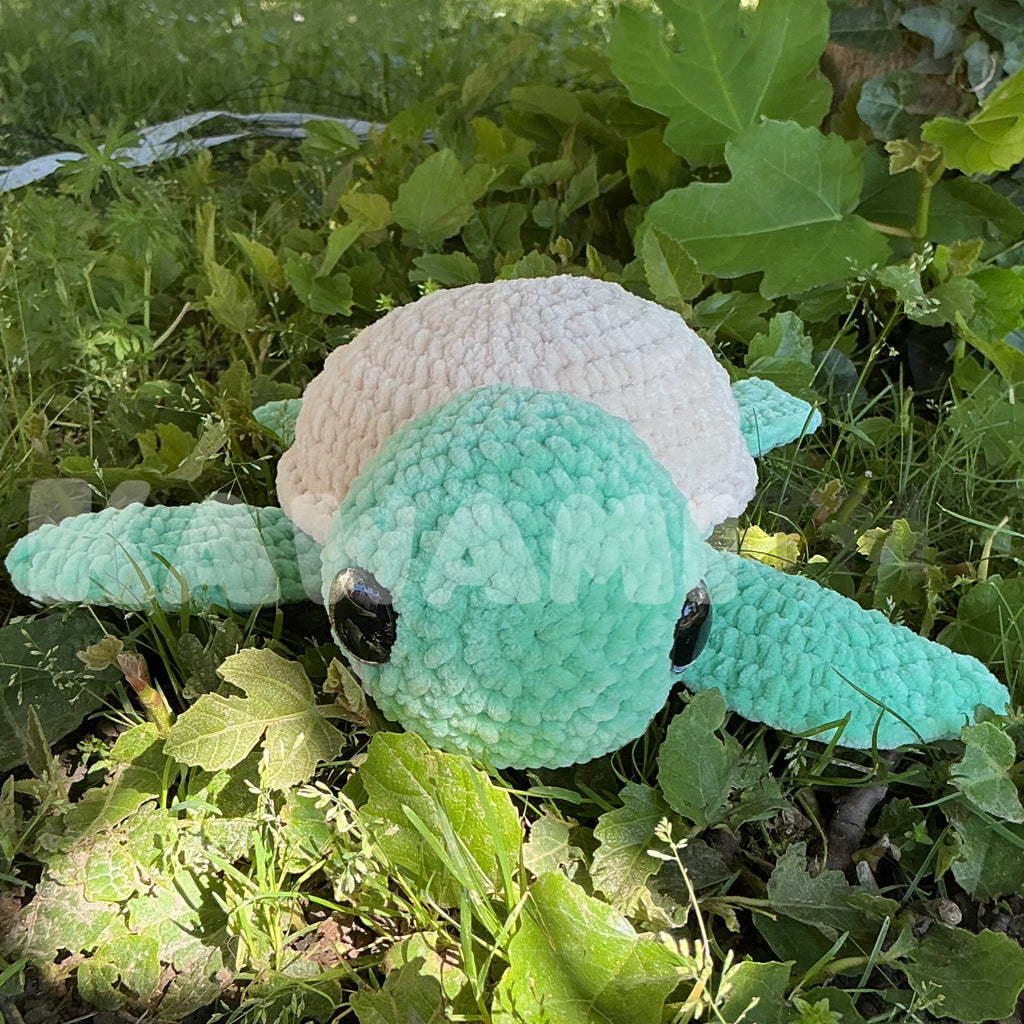 Tortue de mer