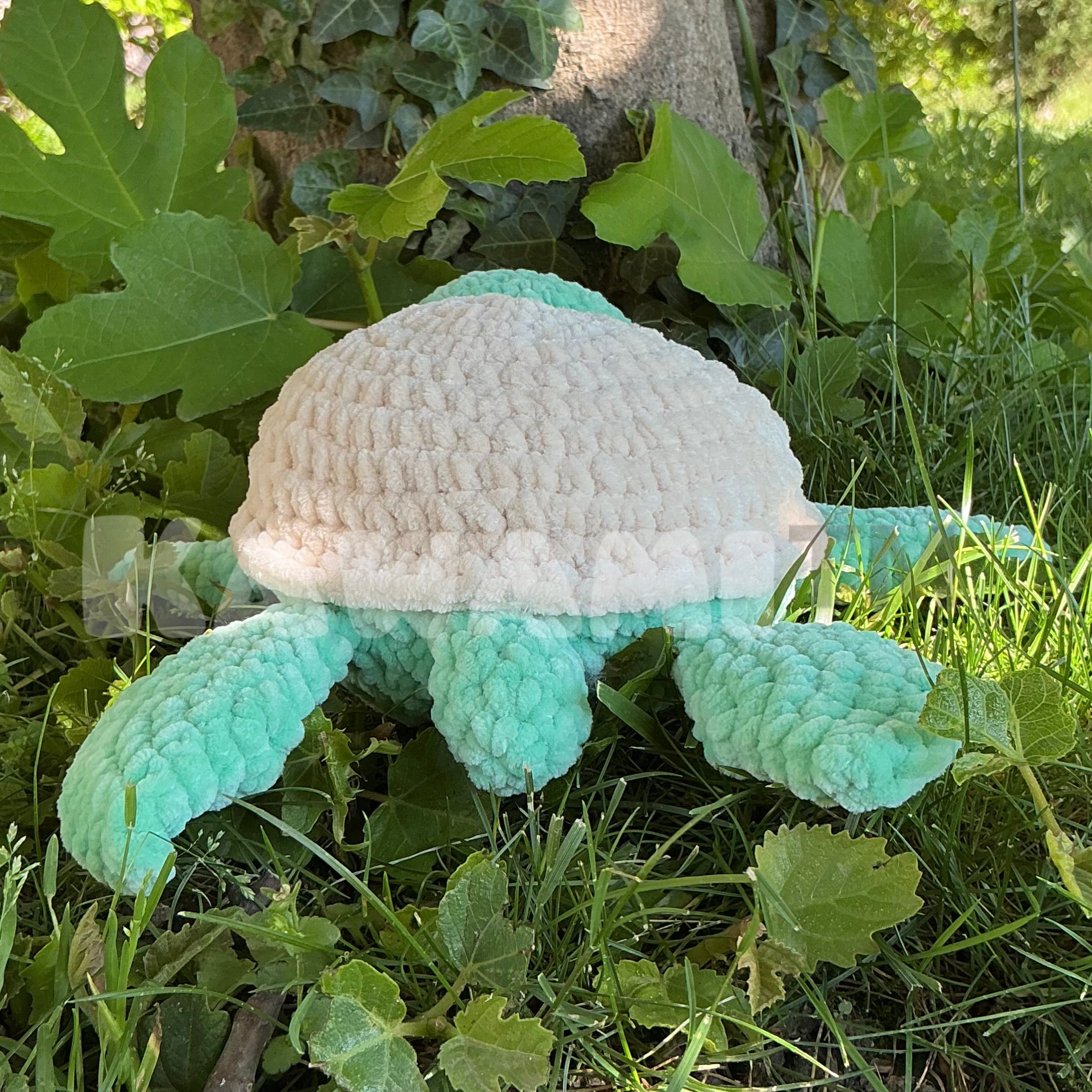 Tortue de mer