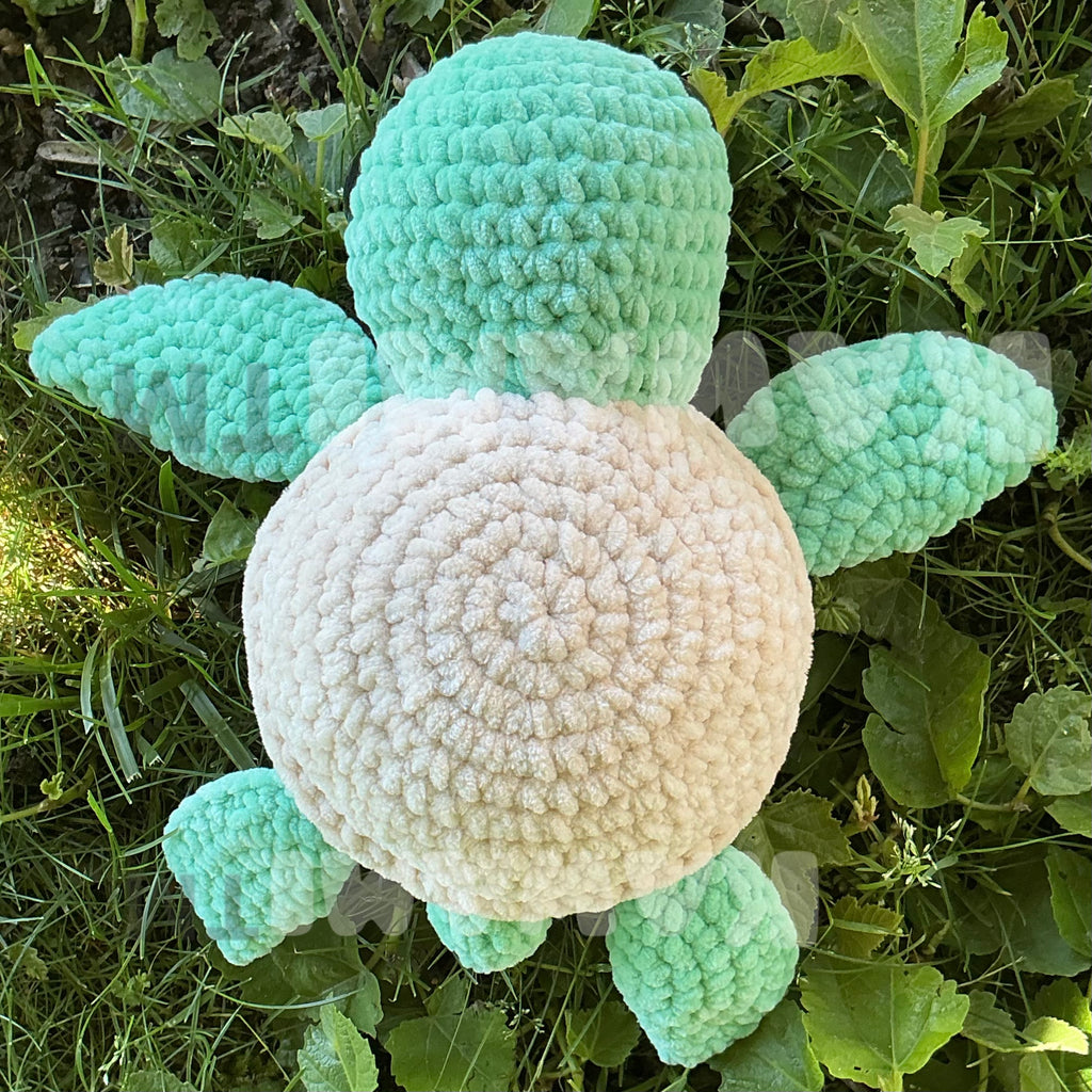 Tortue de mer