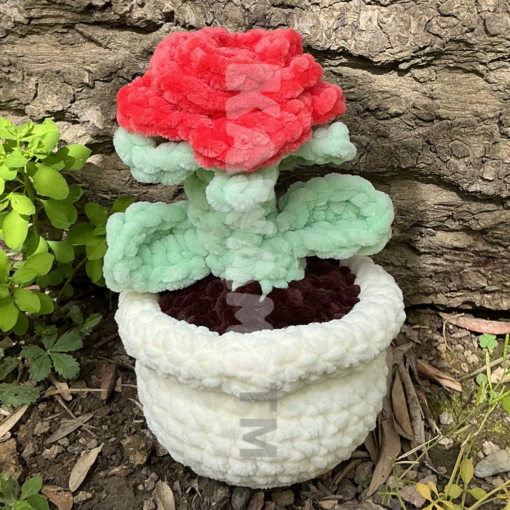 Pots de fleur