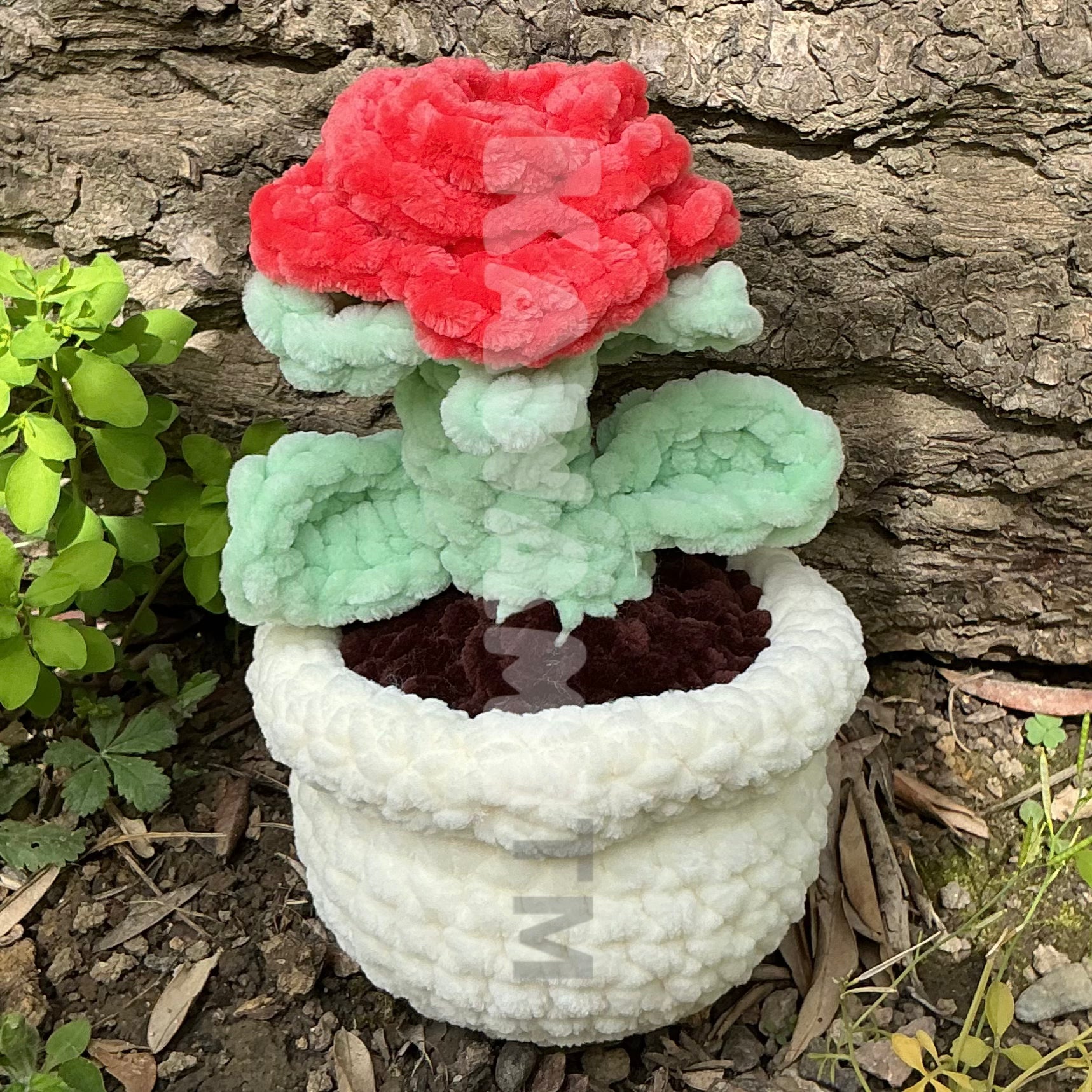 Pots de fleur