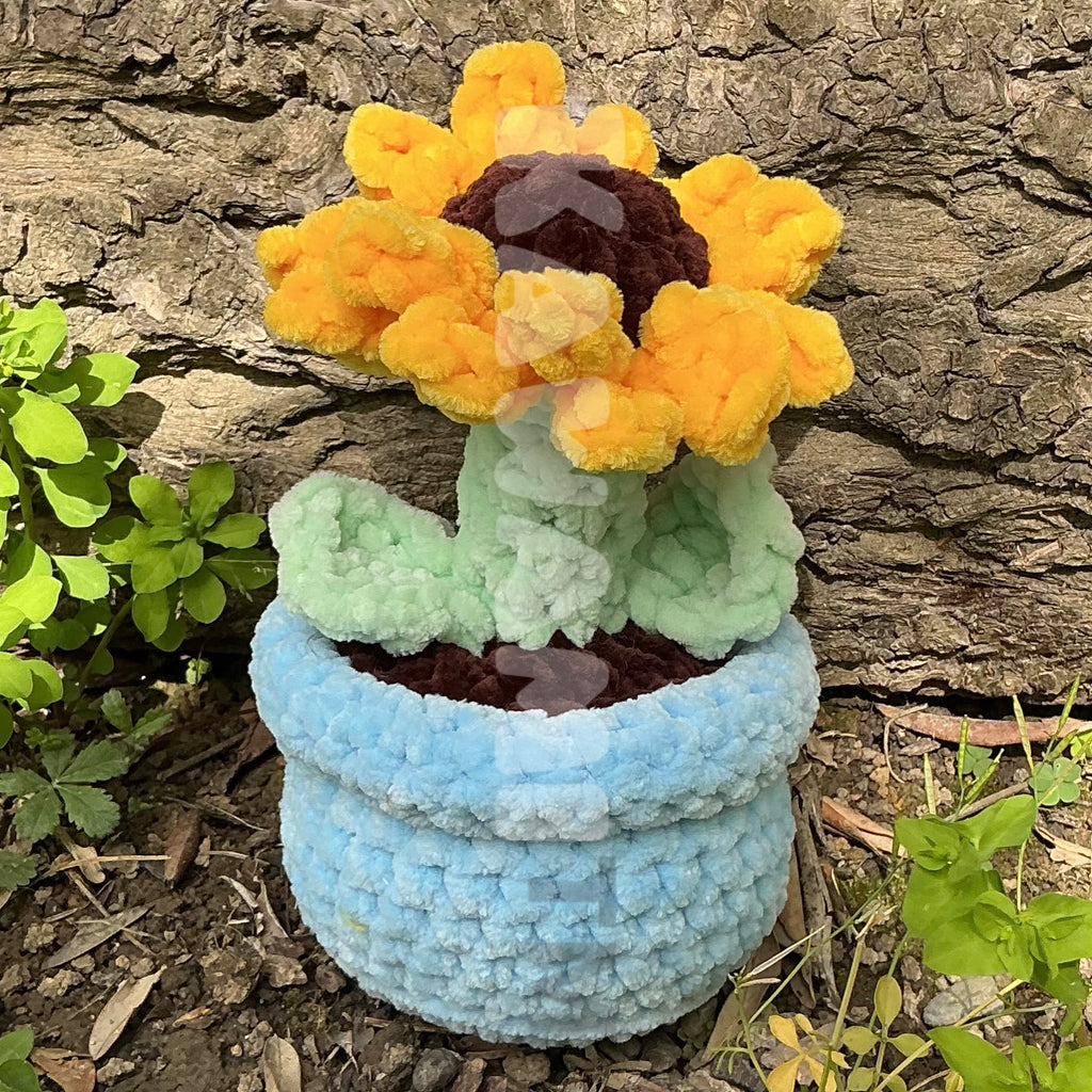 Pots de fleur
