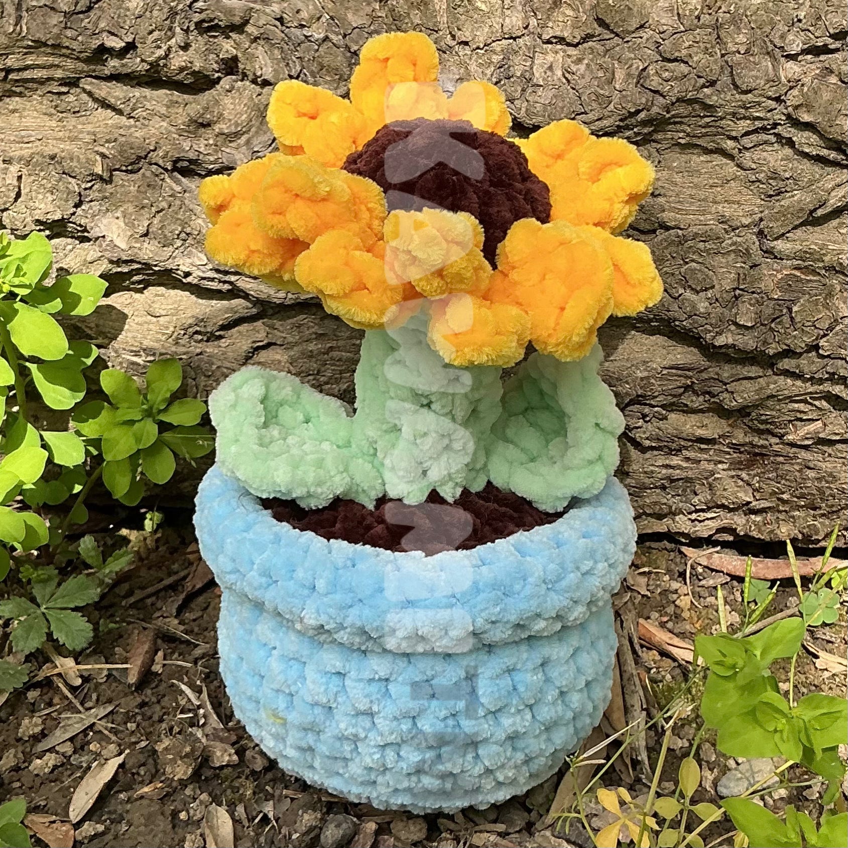 Pots de fleur