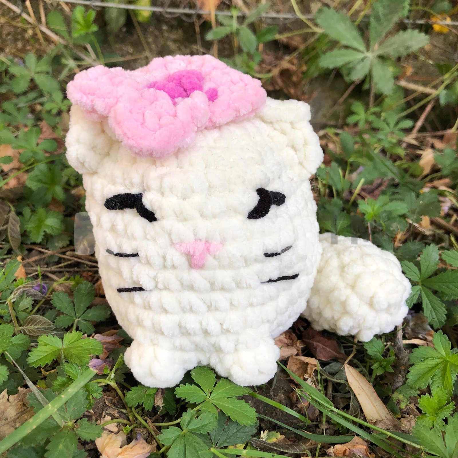 petits chatons – Image 5