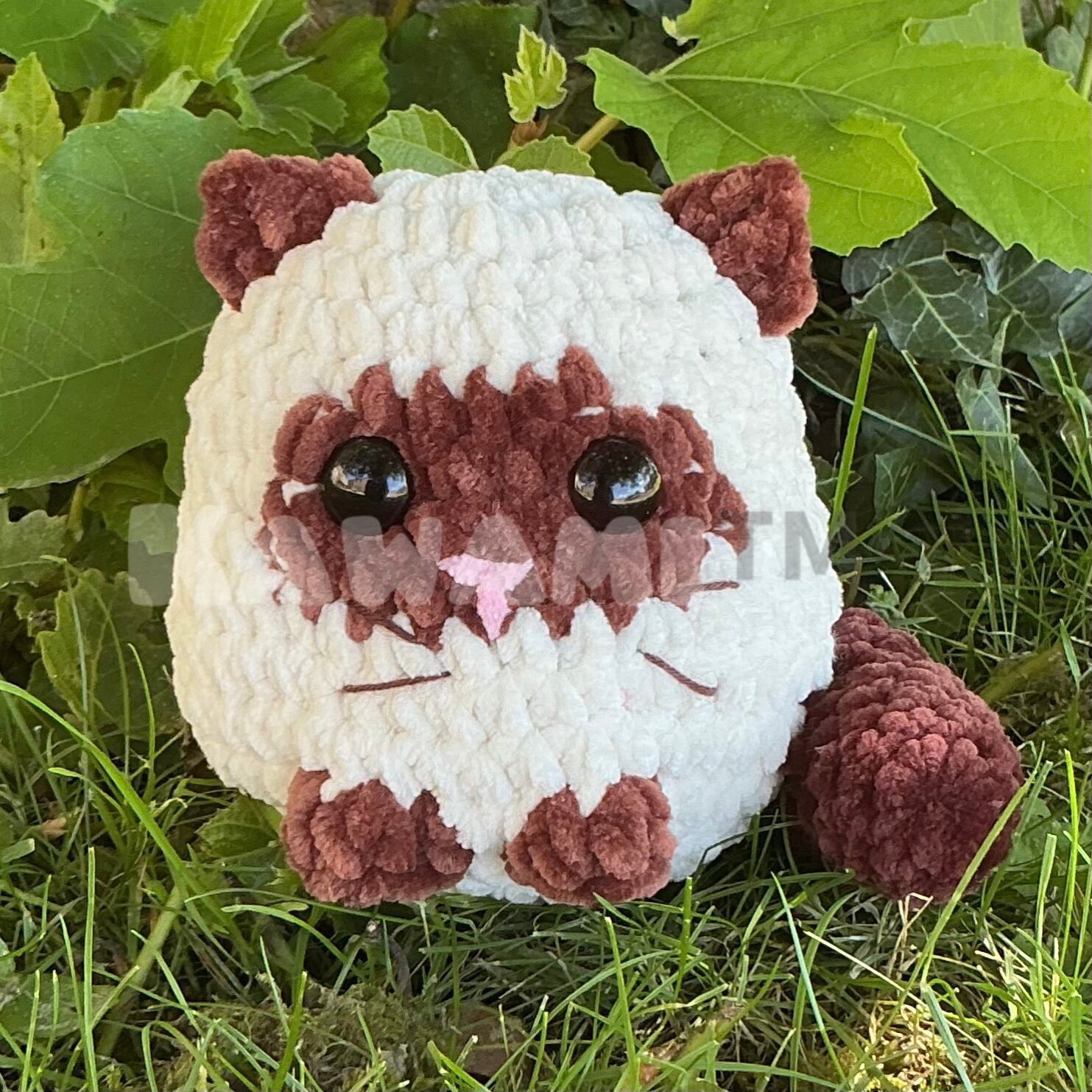 petits chatons – Image 8