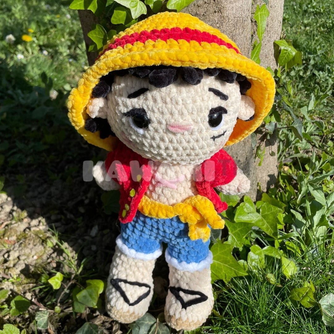 Le roi des pirates
